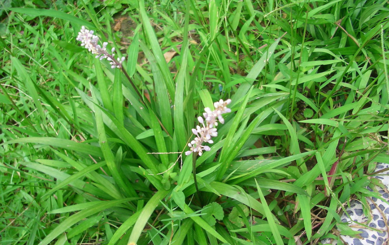 1676583492855769.png 微信圖片_20221105175451.png