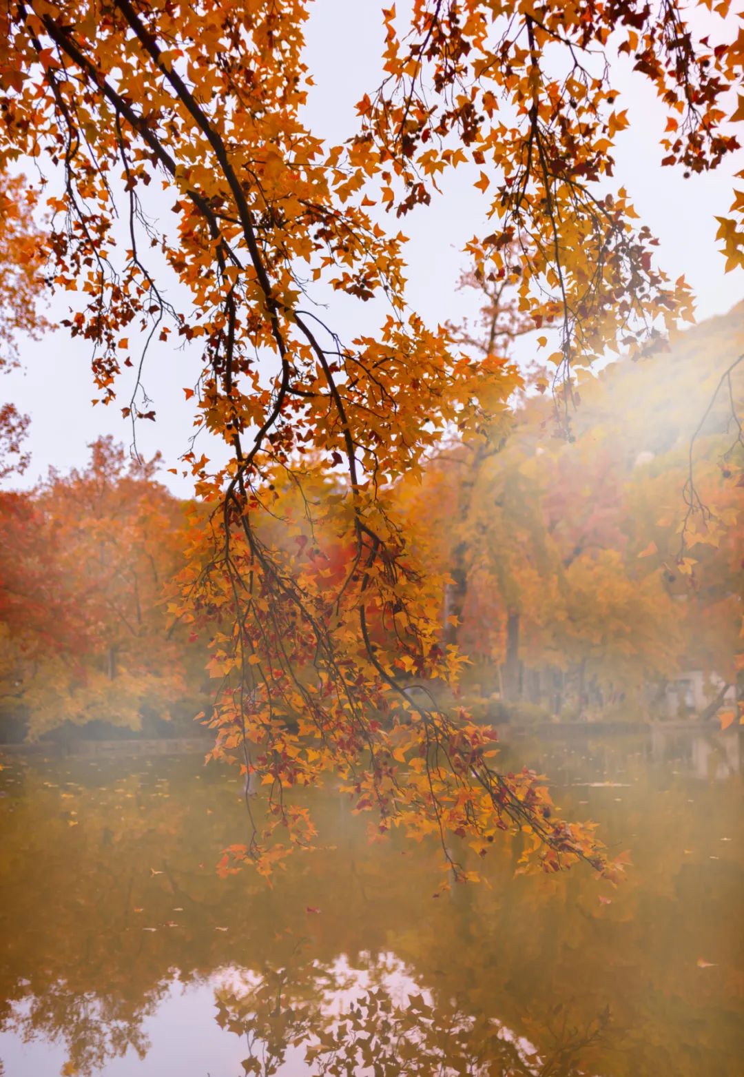 1676583579859605.jpg 微信圖片_20230107171426.jpg