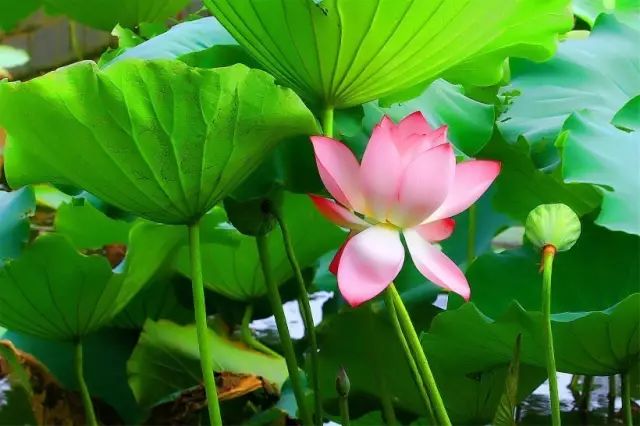 1676584201722172.jpg 微信圖片_20221023221623.jpg