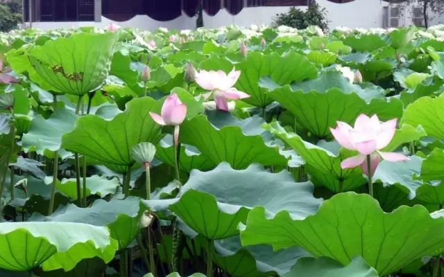 1676584209907089.jpg 微信圖片_20221023221647.jpg