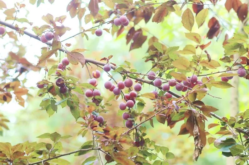 1676584600937998.jpg 微信圖片_20230107194913.jpg