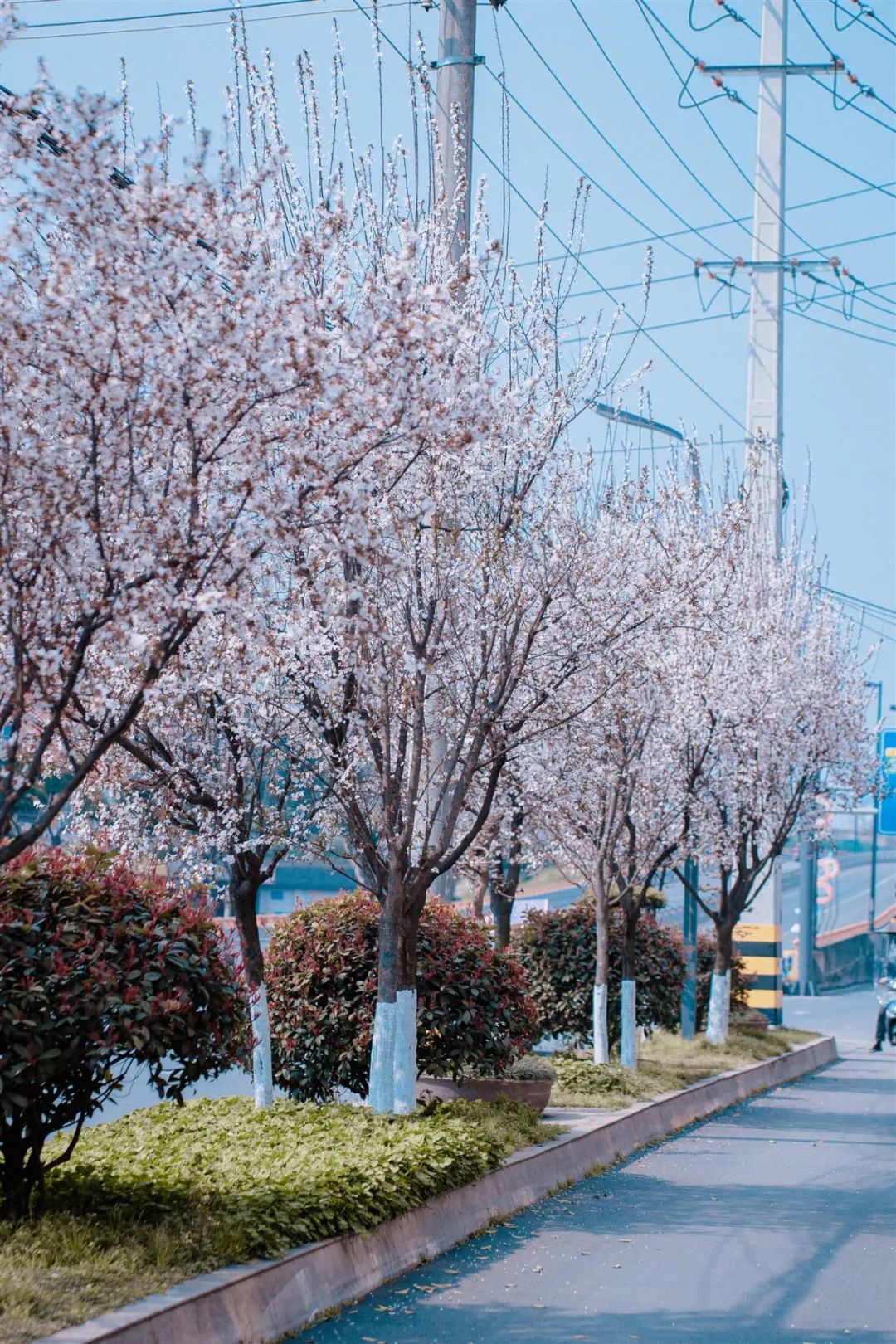 1676584627490983.jpg 微信圖片_20230107194952.jpg