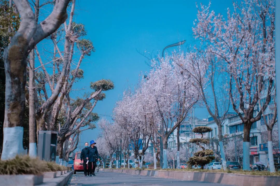 1676584638921845.jpg 微信圖片_20230107194957.jpg