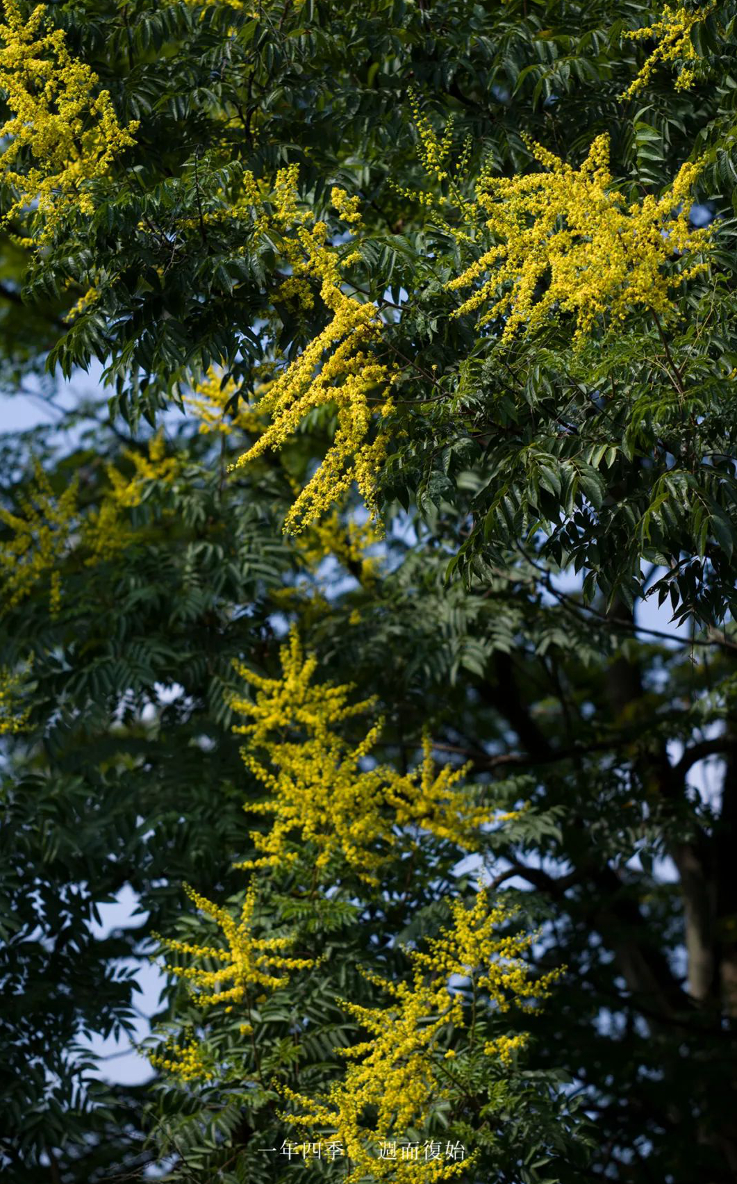 1676638956753487.jpg 微信圖片_20230107200510.jpg