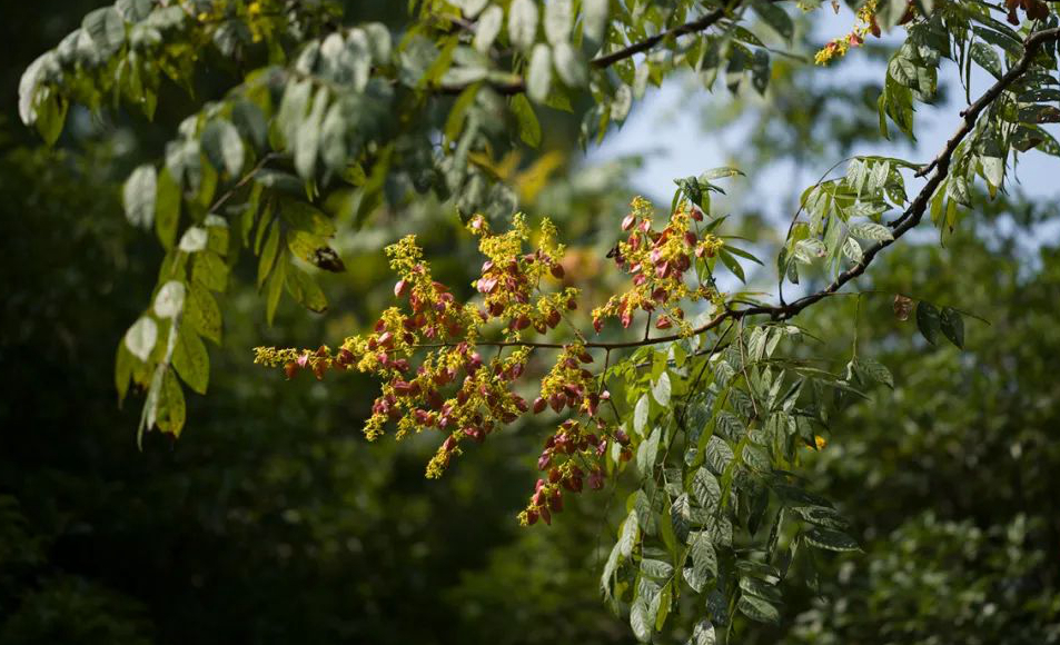 1676638980651972.jpg 微信圖片_20230107200548.jpg