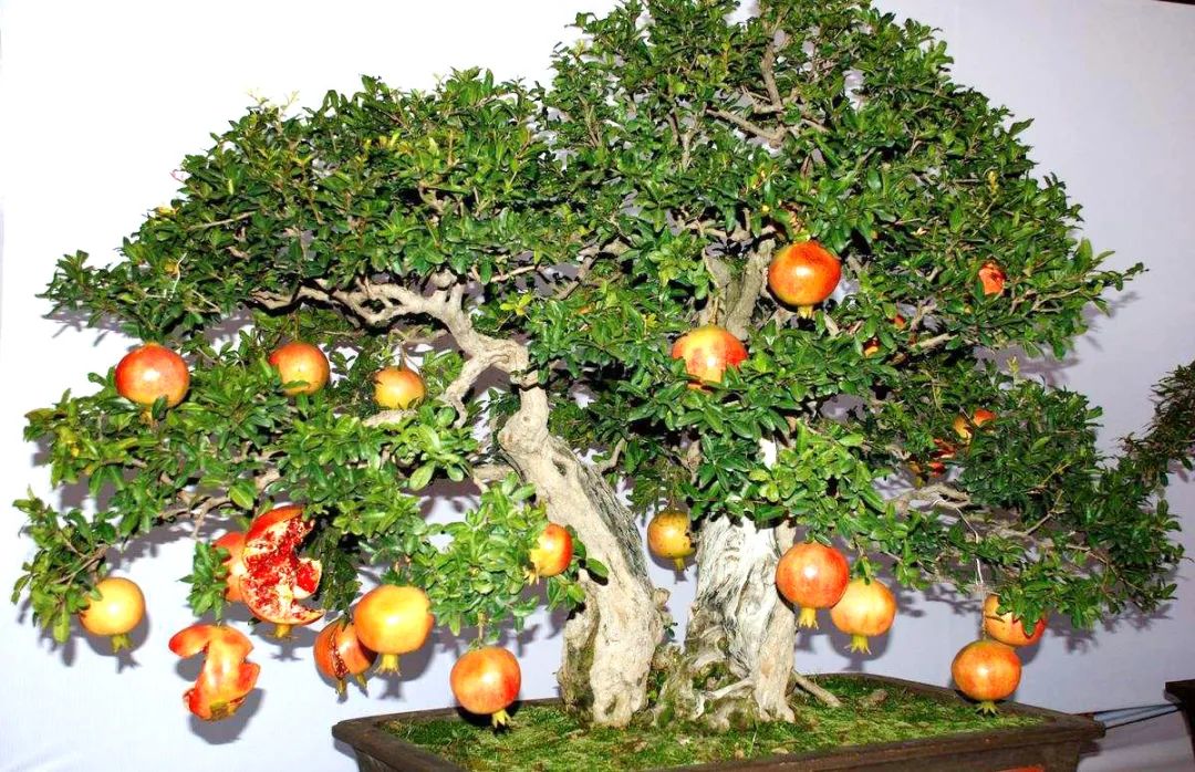 1676639194352252.jpg 微信圖片_20230107163806.jpg