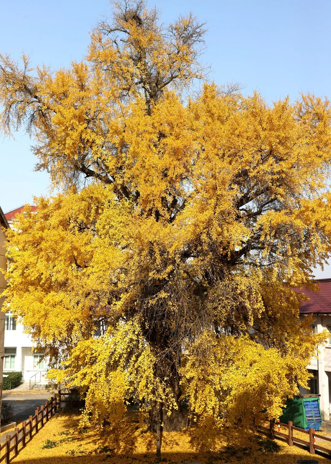 1676640004745379.jpg 微信圖片_20230112212751.jpg