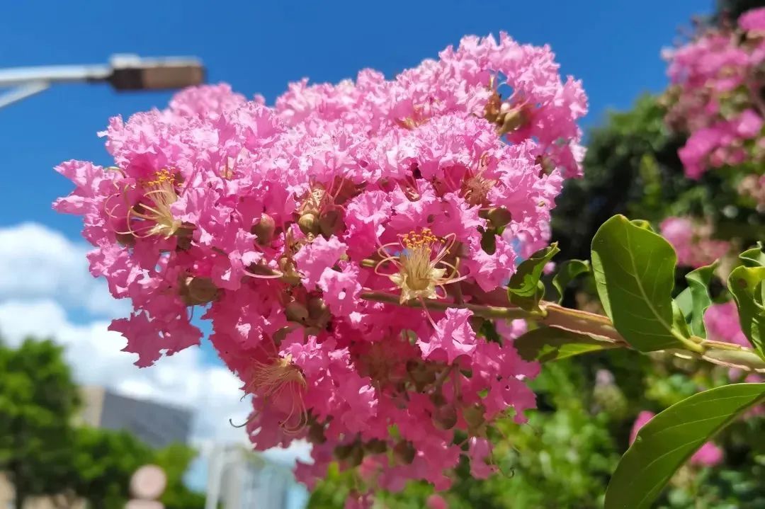 1676643765527133.jpg 微信圖片_20230217222123.jpg