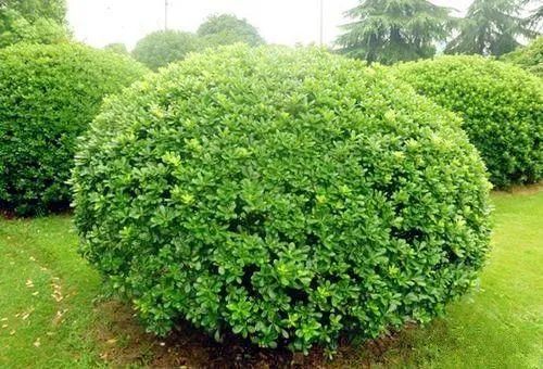 1676675391992846.jpg 微信圖片_20221028174333.jpg