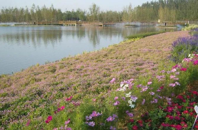 1676797366232002.jpg 微信圖片_20221101144938.jpg