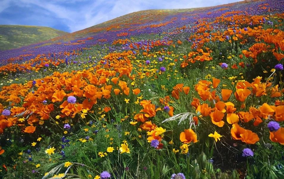 1676797380643860.jpg 微信圖片_20221101144953.jpg