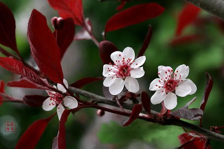 1676894166121672.jpg 微信圖片_20230107162448.jpg