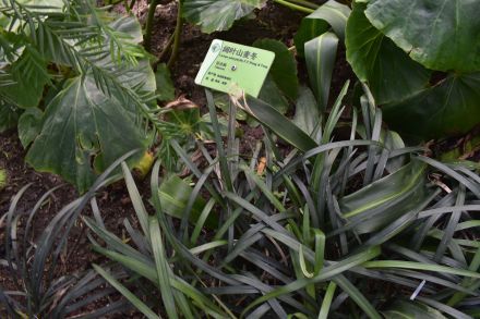 1676894626469234.jpg t01815f455aadea207b.jpg