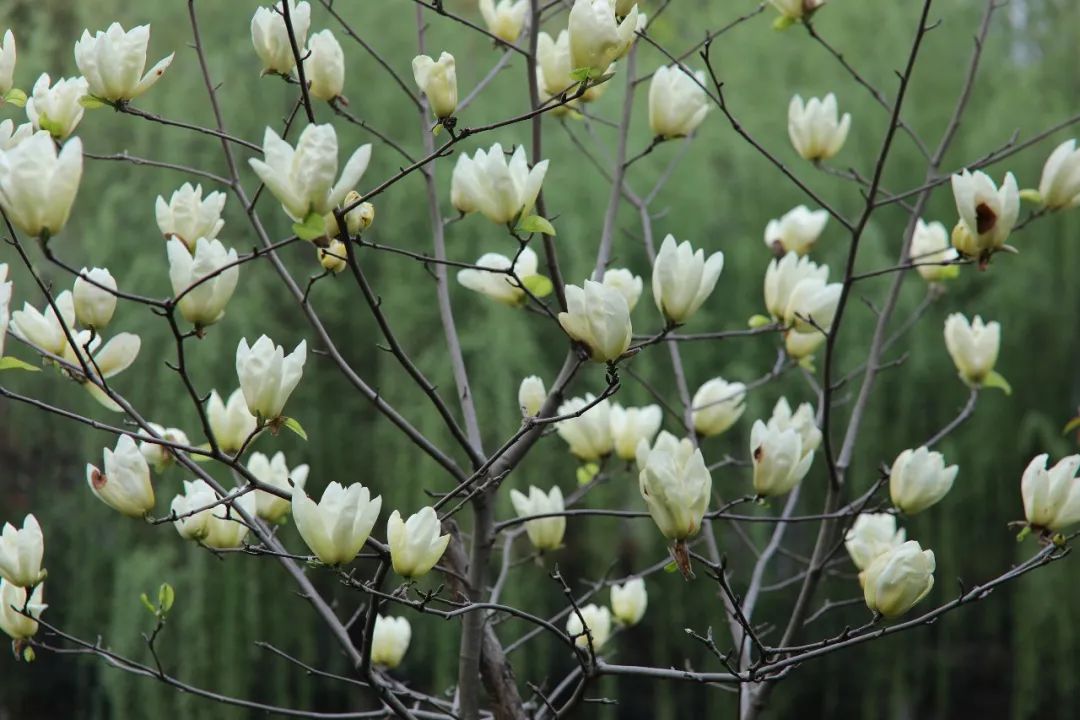 1676894688813066.jpg 微信圖片_20230113055058.jpg