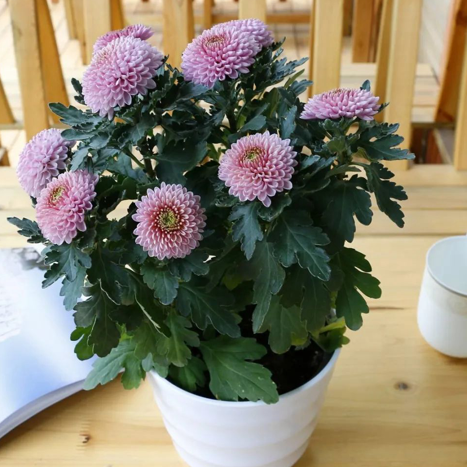 1676894785788782.jpg 微信圖片_20230108151704.jpg