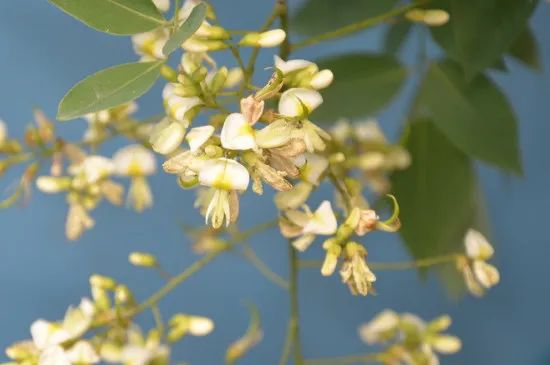 1676894920790023.jpg 微信圖片_20221025220213.jpg