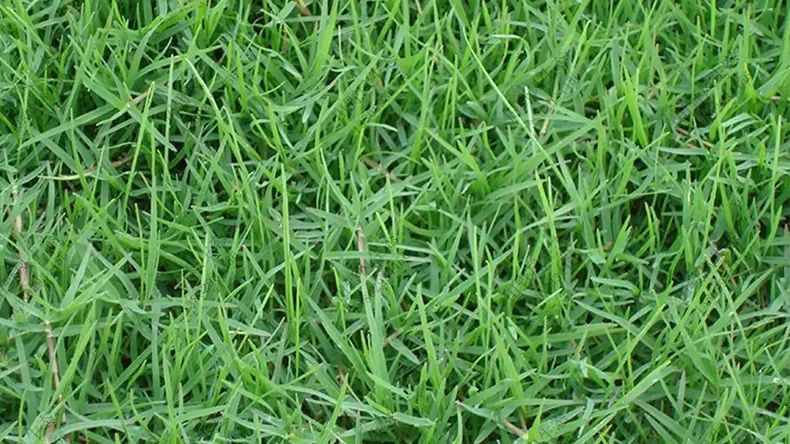 1676895719592822.jpg 微信圖片_20221029232533.jpg