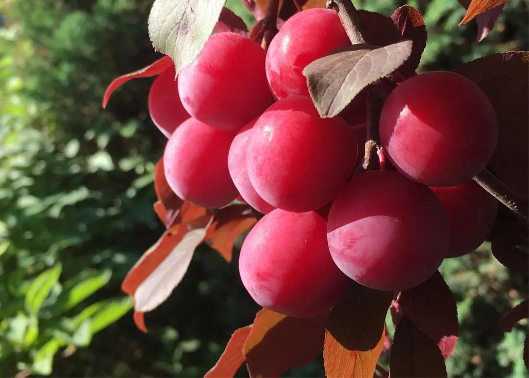 1676895867665496.jpg 微信圖片_20230107162455.jpg