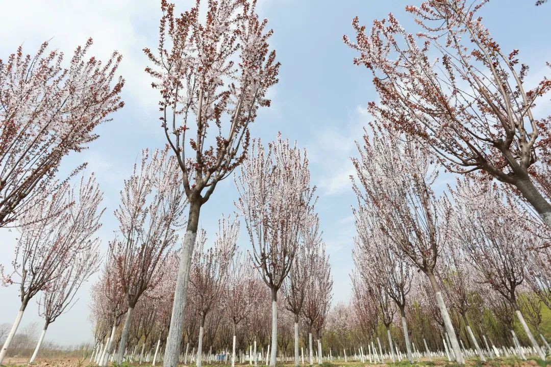 1676895874738662.jpg 微信圖片_20230107162500.jpg