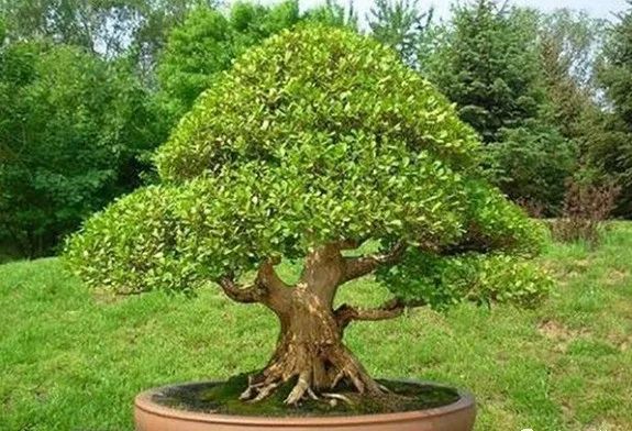 1676896019800694.jpg 微信圖片_20230217055433.jpg