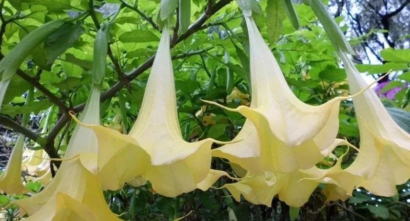 1676896244928950.jpg 微信圖片_20230220202916.jpg