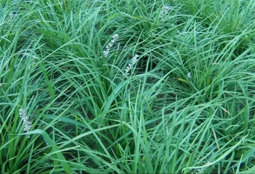 1676896599915790.jpg 微信圖片_20221023223702.jpg