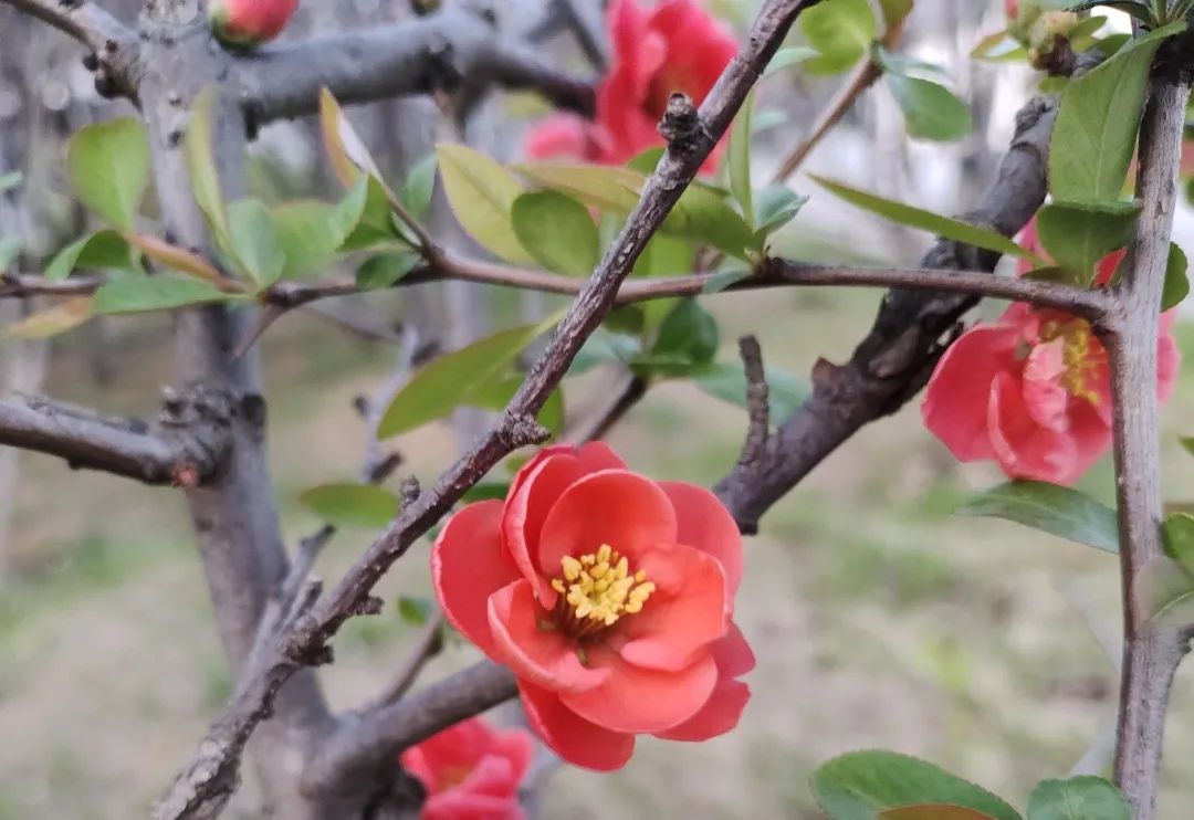 1676897442957423.jpg 微信圖片_20230220204932.jpg