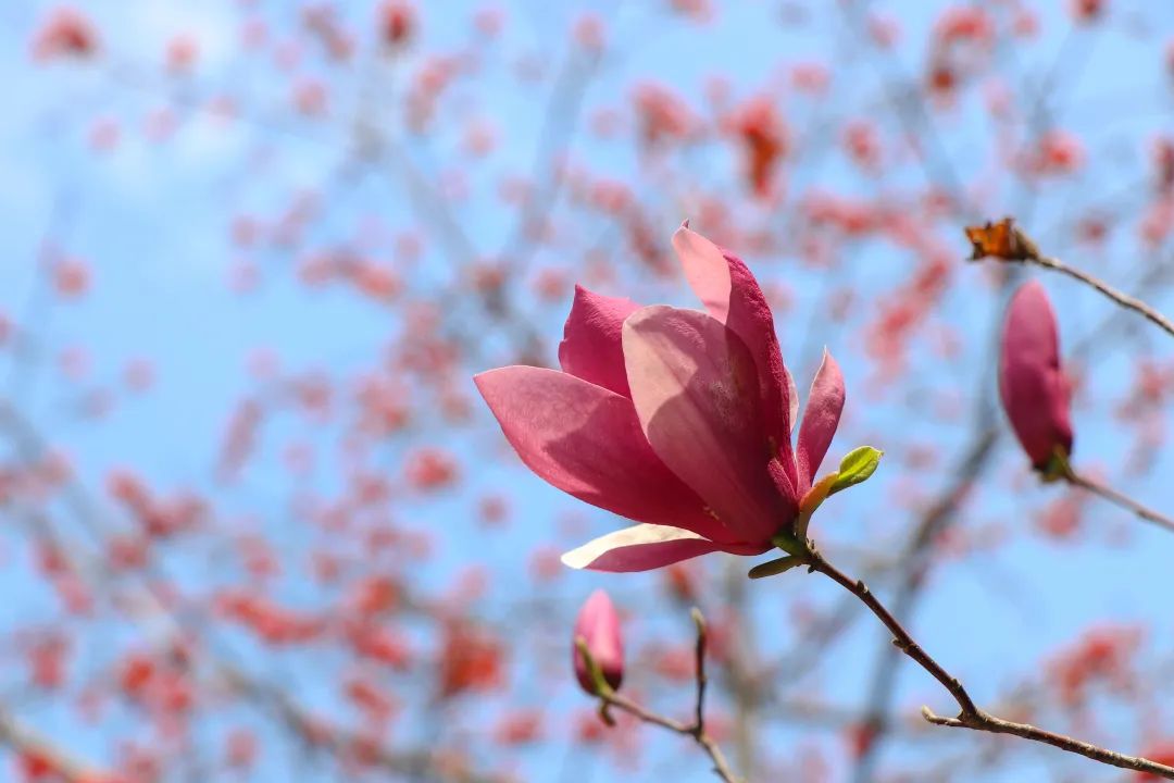 1676897504190684.jpg 微信圖片_20221125235203.jpg