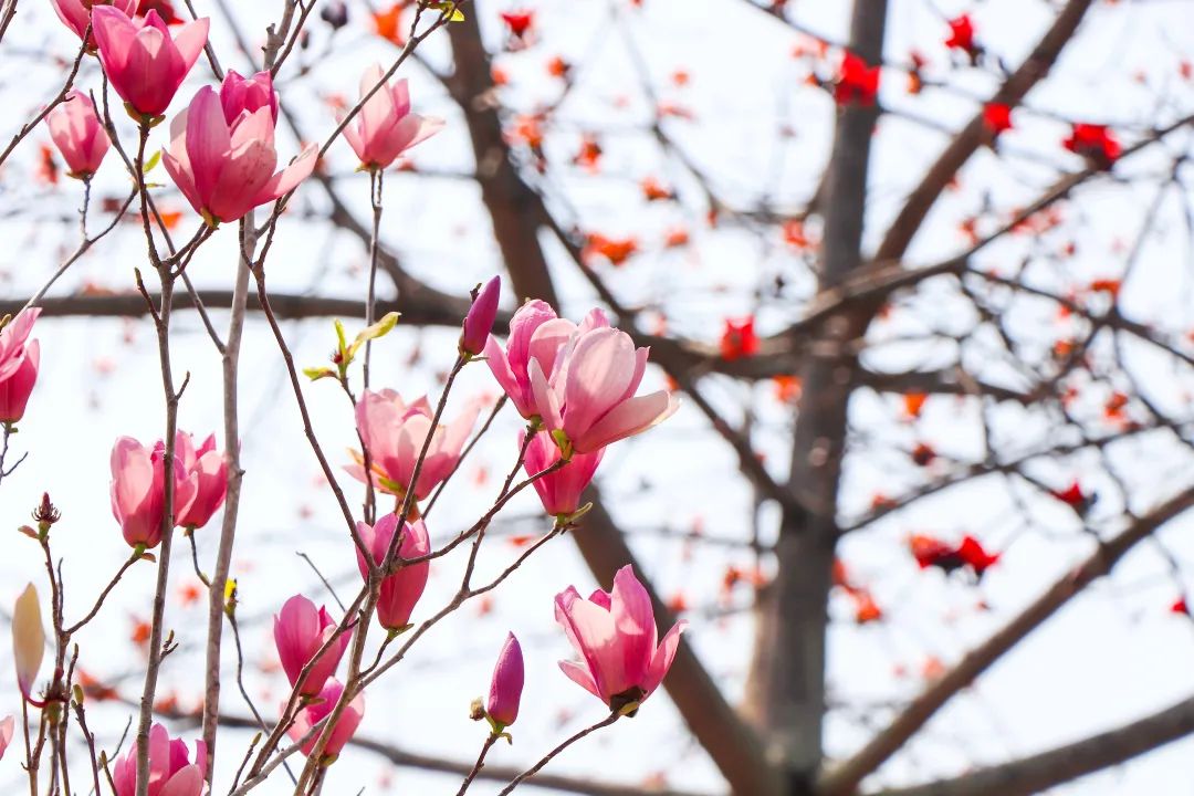 1676897544325005.jpg 微信圖片_20221125235219.jpg