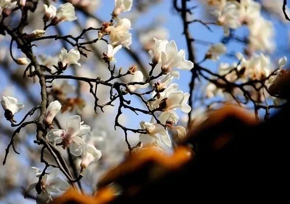 1676898151332410.jpg 微信圖片_20230112000104.jpg