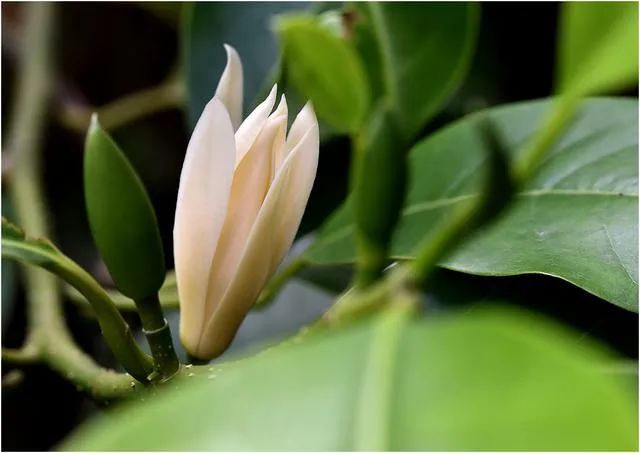 1676898166389560.jpg 微信圖片_20230112000111.jpg