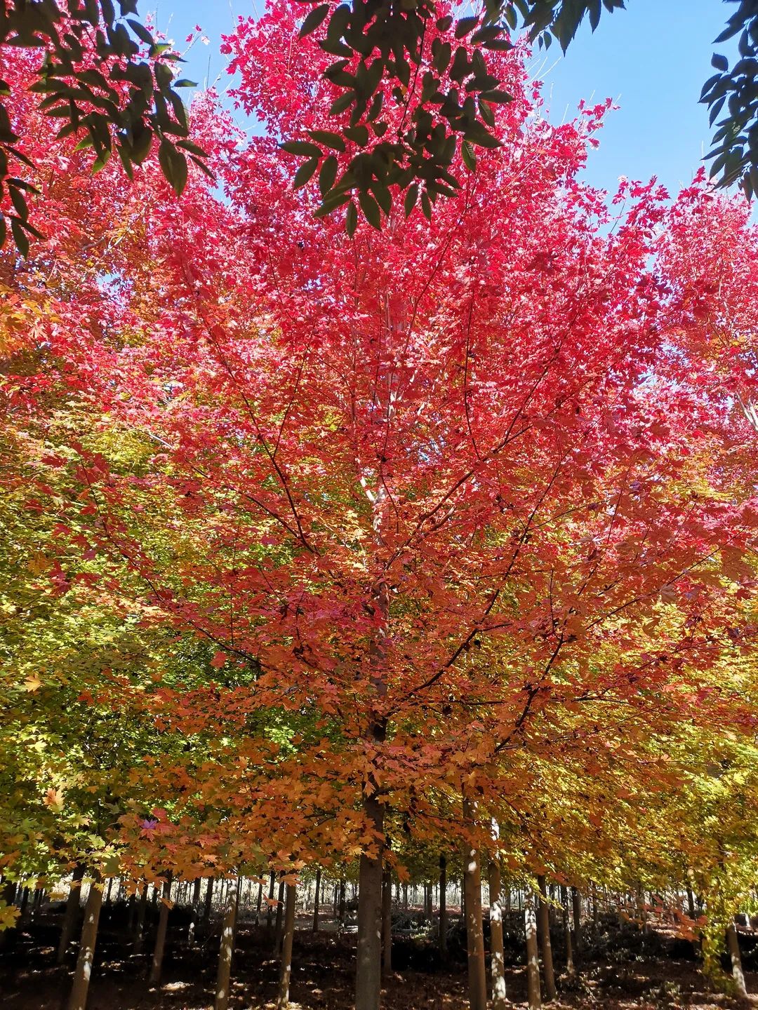 1676898235741633.jpg 微信圖片_20230212110218.jpg