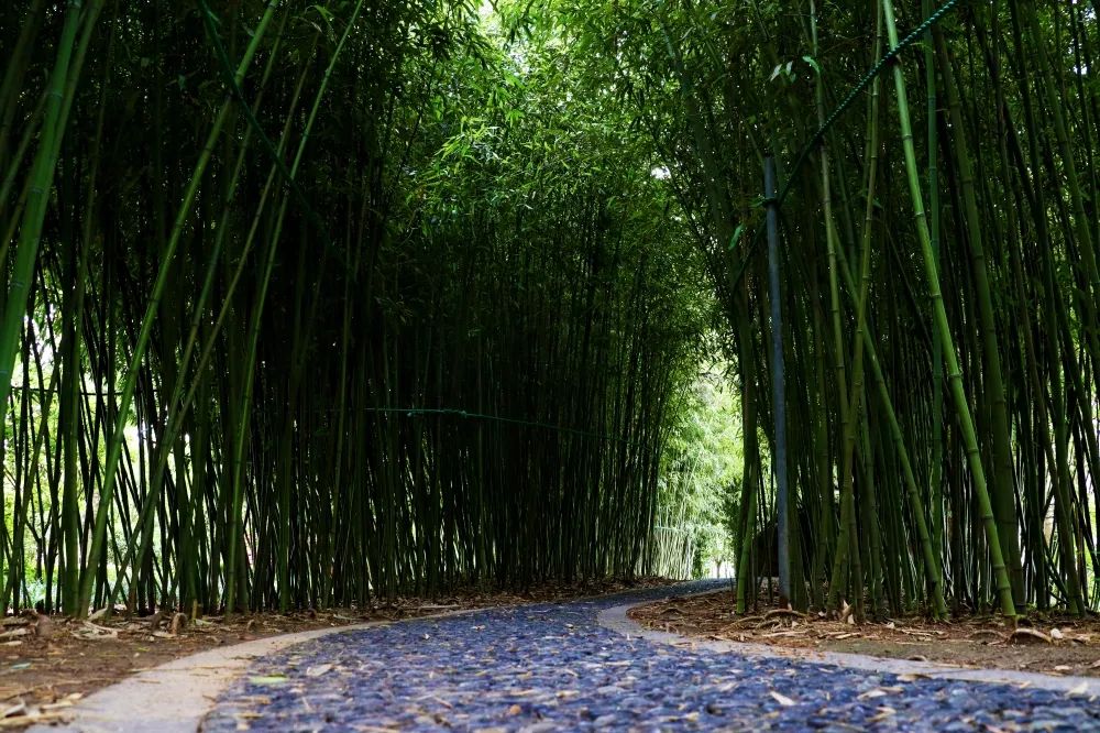 1676898314538778.jpg 微信圖片_20230107163316.jpg