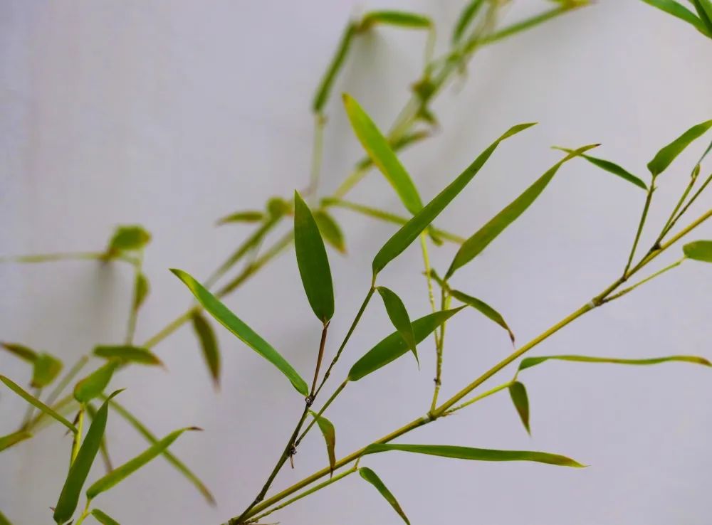 1676898329394747.jpg 微信圖片_20230107163348.jpg