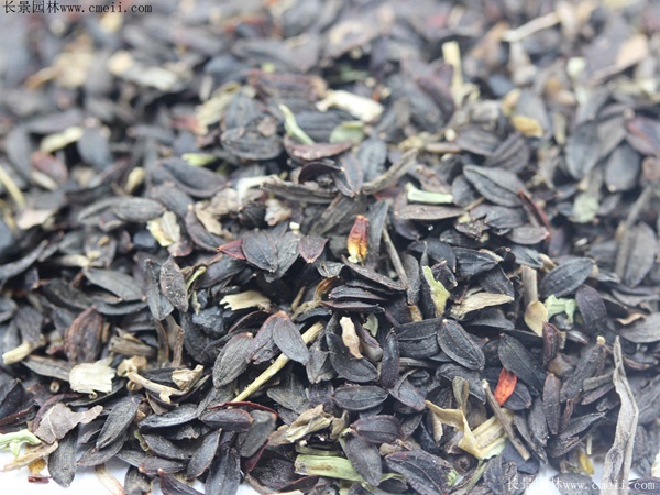 1712545502460649.jpg 1-1F503103333K2.jpg