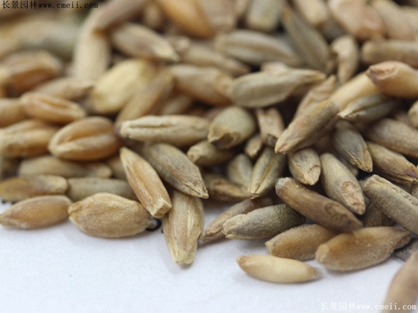 1712630310803457.jpg 1584340996352754.jpg