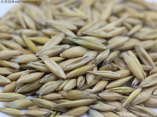 1712642353655216.jpg 1-1F50310415O18.jpg