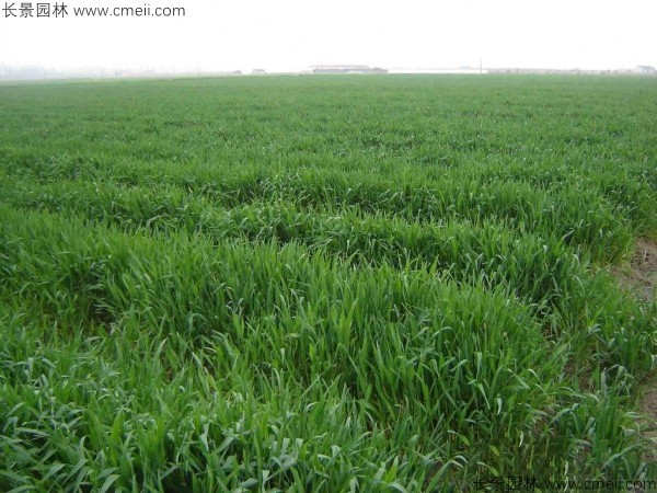 1712642362435860.jpg 1-1F503104159140.jpg