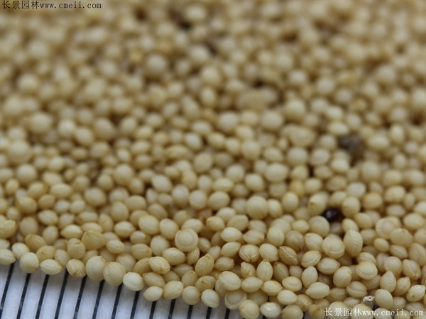 1712804368130456.jpg 1-1F503120253942.jpg