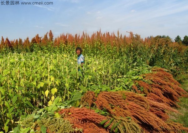 1712804383793481.jpg 1-1F5031202562Z.jpg