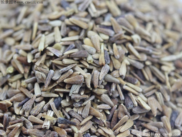 1712888121812618.jpg 1-1FF1194921309.jpg