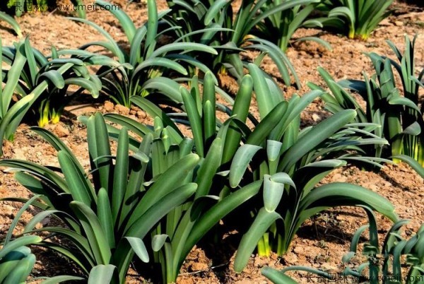 1712890113797601.jpg 1-1FFZS542557.jpg