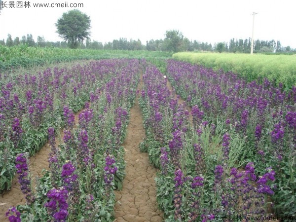 1712901023302847.jpg 1-1FF2115010945.jpg