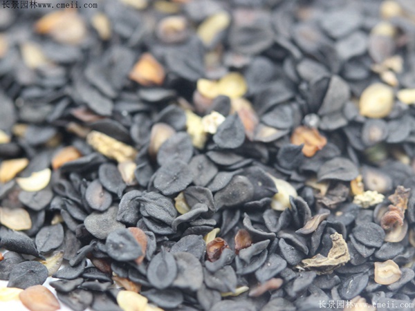 1713170831225737.jpg 1-1FF120500W32.jpg